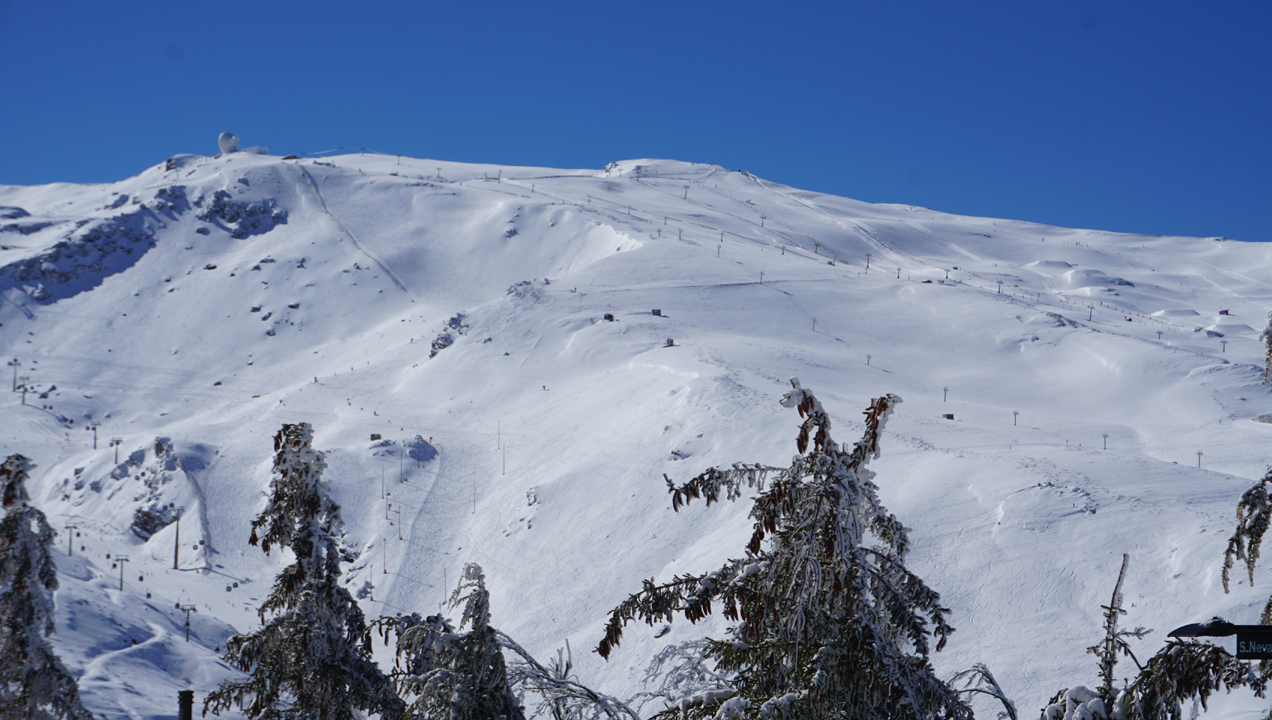 sierra-nevada-monte-bajo